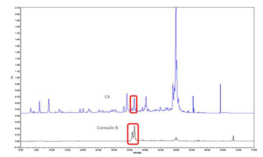 Cornusiin B의 특이성