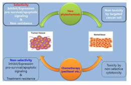 천연물 소재 및 화학의약품의 선택성 차이