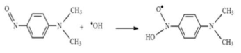 Oxidation of p-nitrosodimethylaniline (RNO) by hydroxyl radical