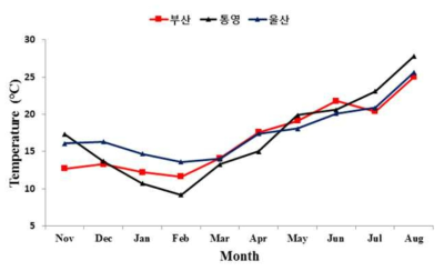 Monthly variation in the water temperature at the coastal water of Tongyeong, Busan, Ulsan from November 2016 to August 2017