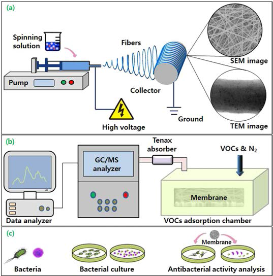 Schematic diagram of the electrospinning experiment