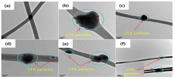 Bio-TEM images of (a) pure PAN fibers. (b)–(f) PAN fibers blended with CFA particles