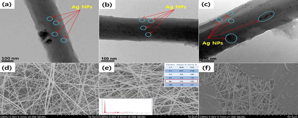 Bio-TEM images of (a) MA1, (b) MA2 and (c) MA3. (d)–(f) are their FE-SEM images