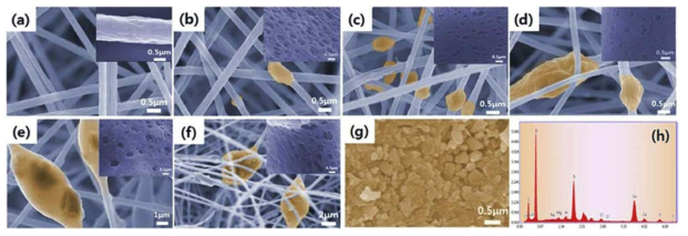 FE-SEM images of (a) FA0, (b) FA2, (c) FA4, (d) FA6, (e) FA8, (f) FA10, (g) FA powder and (h) EDS data of FA powder