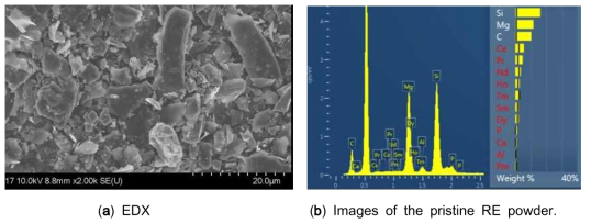 Field emission scanning electron microscopy (FE-SEM)