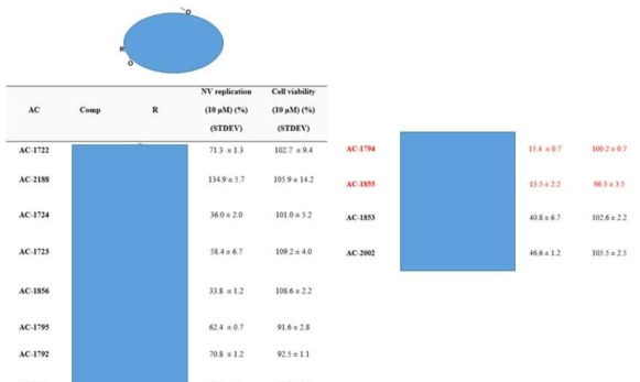 AC-1771의 유도체 12종의 10 μM 농도에서 항바이러스 활성 및 세포 독성 데이터