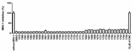 AC-1737 유도체 화합물들의 MNV에 대한 항바이러스 활성