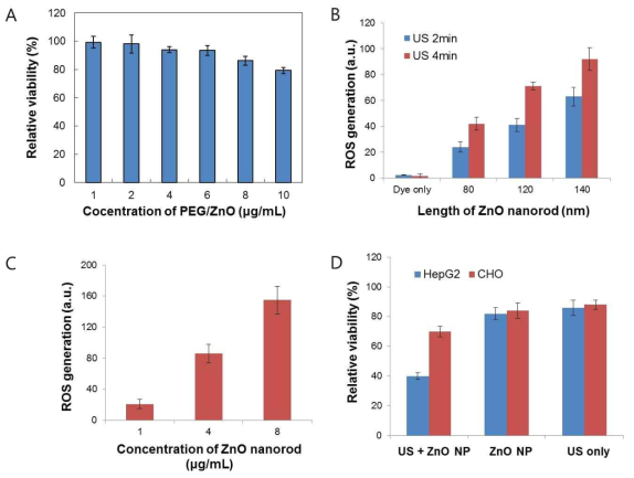 (A) 간암세포 (HepG2)에 여러 농도의 산화 아연 나노 막대 (80 nm 길이의 산화 아연 나노 막대)를 투여한 후 MTT assay를 통한 세포 독성 평가 (24시간 후). 8 μg/mL 의 PEG-ZnO nanorod의 농도에서도 80% 이상의 viability를 보일 만큼 ZnO nanorod 자체로 인한 큰 세포 독성은 나타나지 않았음. (B) 초음파 조사 시간 (1MHz, 1W)과 산화 아연 나노 막대의 길이에 따른 ROS 발생량 차이. ROS 측정은 ROS에 반응하여 형광을 내는 2‘,7-dichlorofluoresceindiacetate (DCFDA) dye를 이용함. 초음파 조사 시간이 증가할수록, aspect ratio가 커질수록 발생하는 ROS의 양은 증가함이 밝혀짐. (C) 80 nm 산화 아연 나노 막대의 농도에 따른 초음파 조사 매개형 ROS 발생량 측정. 초음파는 2min 조사함. 농도가 높아질수록 ROS 발생량은 증가함. (D) 간암세포와 정상세포에서 초음파 역학치료 효능 평가. 100 nm 길이의 산화 아연 나노막대를 간암세포인 HepG2 세포와 정상 세포인 CHO 세포에 같은 농도 (8 μg/mL)로 같은 시간 초음파 (4 min)를 조사한 후 세포 독성을 측정함. 간암 세포인 HepG2에서 세포 독성이 더 많이 나타남. 이를 통해 산화 아연 나노 막대의 암 선택적인 암 치료 효율을 증명함