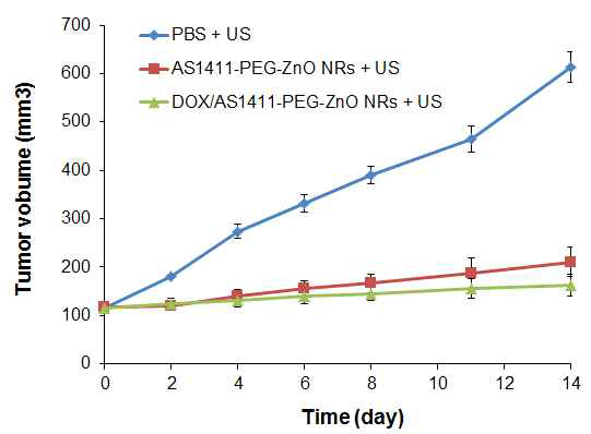 DOX/AS1411-PEG-ZnO NRs 복합체의 항암 화학/초음파역학 복합치료 효 능 평가 (in vivo). 항암제인 DOX가 결합된 복합체에서 더 높은 암 치료 효율을 나타냄