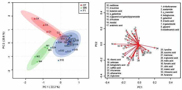 대사물질 함량에 따른 PC분석, 배추, 무, F1의 대사물질 함량이 구분됨을 확인할 수 있다
