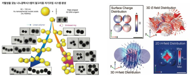 DNA 오리가미를 이용한 메타분자의 알고리즘 자기조립(왼쪽) 및 이로부터 파생되는 나노스케일의 키랄성 빛의 증폭/집속(오른쪽)