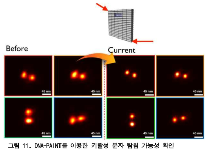 DNA-PAINT를 이용한 키랄성 분자 탐침 가능성 확인