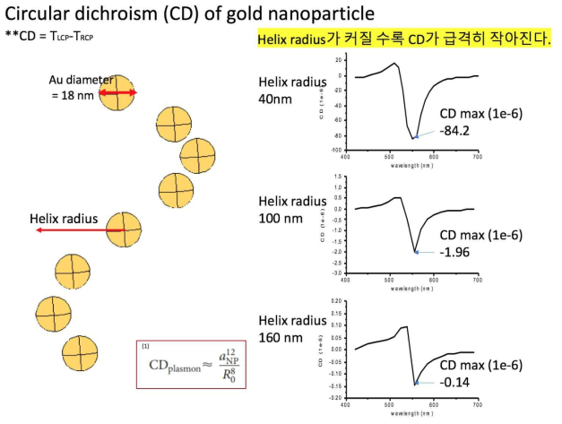 18 nm 금나노입자가 helical하게 감겨 있는 구조의 Numerical simulation으로 예측된 CD 계산 결과