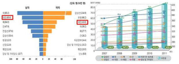 한국인의 주요 암 발생률과 발생 증가 추이