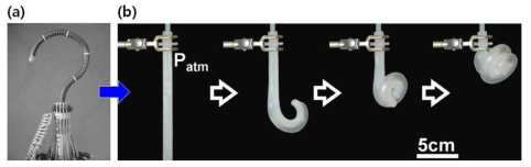 (a) 곡선 동작을 위해 수많은 관절 부위가 필요한 기존 로봇 (b) 관절 없이 다양한 곡률반경 구현이 가능한 소프트 로봇의 예