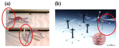 초경량 초소형 로봇의 경우 연결선이 없는 구동의 구현이 필요성. (a) 공기 주입선 (빨간색 원 안)이 필수불가결한 공압식 소프트 로봇 (b) 배터리 무게를 피하고 충분한 전력을 얻기 위해 전선 (빨간색 원 안)을 사용하는 초경량화 초소형 로봇