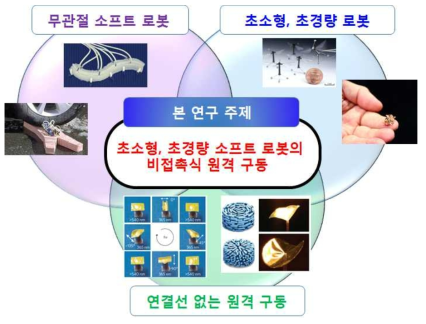 무관절 디자인으로 곡선 움직임이 가능하고 연결선 없이 구동 가능한 초소형 소프트 로봇의 개발