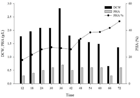 Compare of DCW, PHA and 3HV composition by time using Bacillus sp. EMK-5020