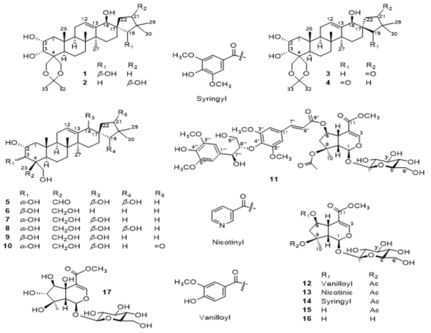 The structures of isolated compounds (1-17) from the roots of P. umbrosa