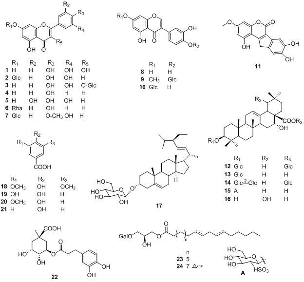 Structures of isolated compounds from E. prostrata