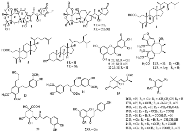 Chemical structures of isolated compounds 1‒25 from the roots of Kadsura coccinea