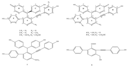 The structures of isolated compounds 1‒7