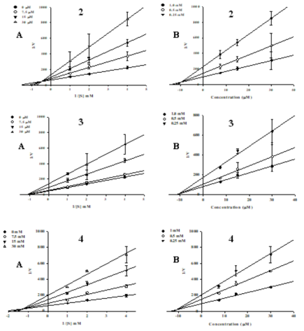 Lineweaver-Burk plots (A) and Dixon plots (B) of PTP1B inhibition by compounds 2-4. Data was expressed as the mean reciprocal of initial velocity for n = 3 replicates at each substrate concentration