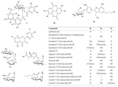 Chemical structures of compounds 1‒19 from the aerial parts of Agrimonia pilosa Ledeb