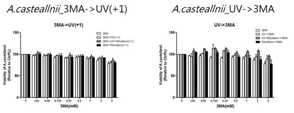 가시아메바의 UVA+ riboflavin의 독성을 증강하기 위한 3MA(3 methyladeine) 병합요법을 시도함. 3MA 자체의 trophozoite 살균 능력은 일부 관찰되었으나, UVA+ riboflavin 병합요법의 효과는 관찰할 수 없었으며, 이는 3MA를 전처치하거나 후처치하거나 차이가 없었음. 결국 3MA에 의한 autophagy억제가 가시아메바의 UVA+ riboflavin에 대한 감수성을 높여주기를 기대하였으나, 실험결과는 이를 뒷받침하지 않는 결과임