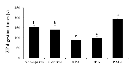 Effects of exogenous PAs and their inhibitor on ZP solubility in pigs (p<0.05)