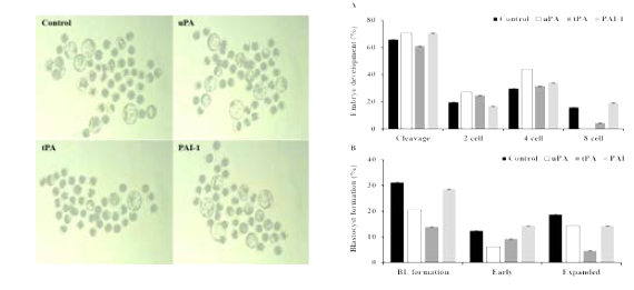 Effects of exogenous PAs and their inhibitor on embryo development in pigs