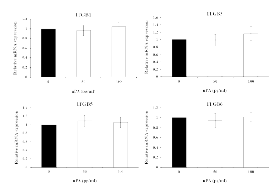 Effects of exogenous uPA (50 or 100 pg/ml) on expression of integrin B family (B1, B3, B5 and B6) in porcine uterine epithelial cells