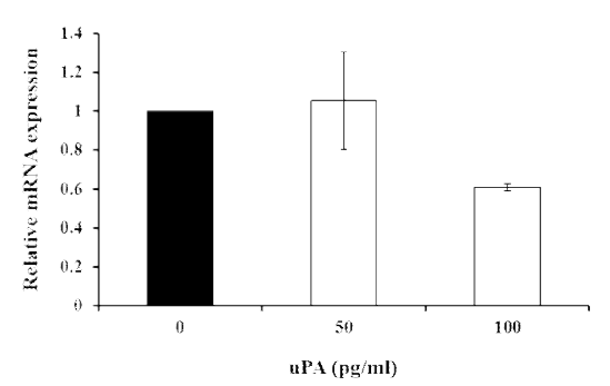 Effects of exogenous uPA (50 or 100 pg/ml) on expression of osteopontin in porcine uterine epithelial cells