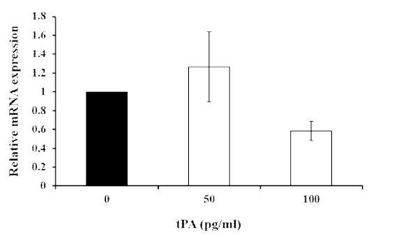 Effects of exogenous tPA (50 or 100 pg/ml) on expression of osteopontin in porcine uterine epithelial cells