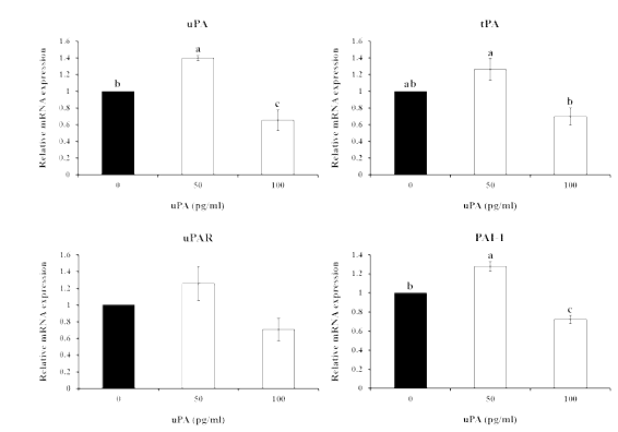 Effects of exogenous uPA (50 or 100 pg/ml) on expression of uPA, tPA, uPAR and PAI-1 in porcine uterine epithelial cells (p<0.05)