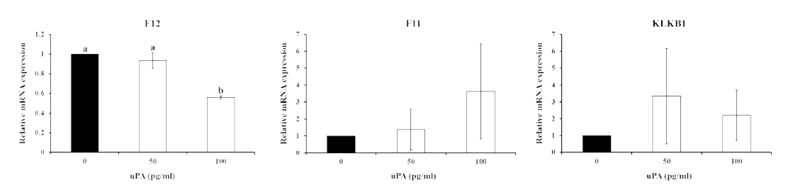 Effects of exogenous uPA (50 or 100 pg/ml) on expression of F12, F11 and KLKB1 in porcine uterine epithelial cells