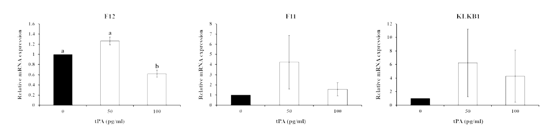 Effects of exogenous tPA (50 or 100 pg/ml) on expression of F12, F11 and KLKB1 in porcine uterine epithelial cells (p<0.05)