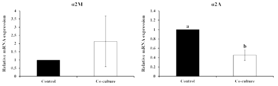 Effects of co-culture of uterine cell with embryo on expression of plasmin inhibitor (α2M and α2A) in porcine uterine epithelial cells (p<0.05)