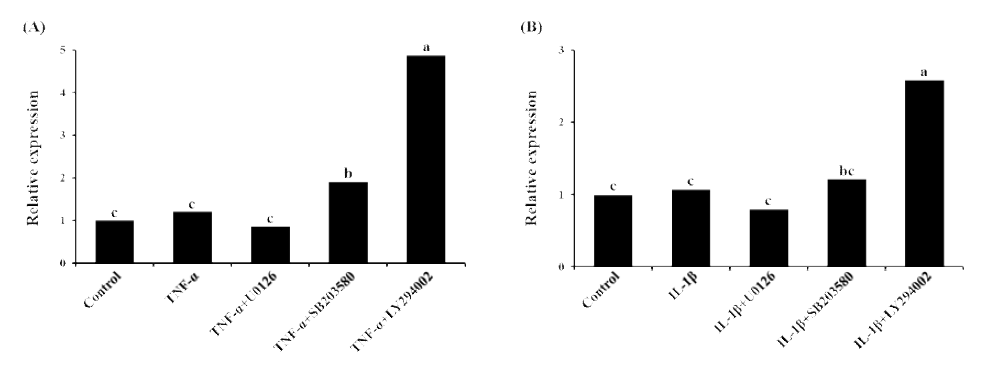 Effect of tumor necrosis factor-alpha, interleukin-1 beta, and signaling inhibitors on PAs activity in porcine endometrial epithelial cells (p<0.05)