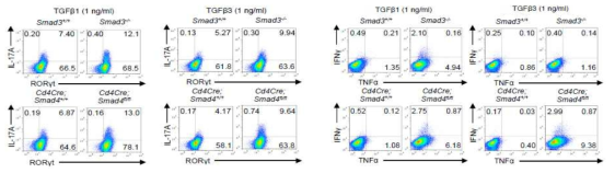 TGF-β1, 3 동종형에 따른, SMAD3/4결손에 따른 Th17 분화 및 동정