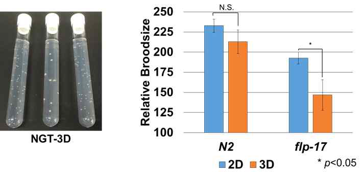 Mutant defective in oviposition behavior have lower reproductive fitness in 3D cultivation