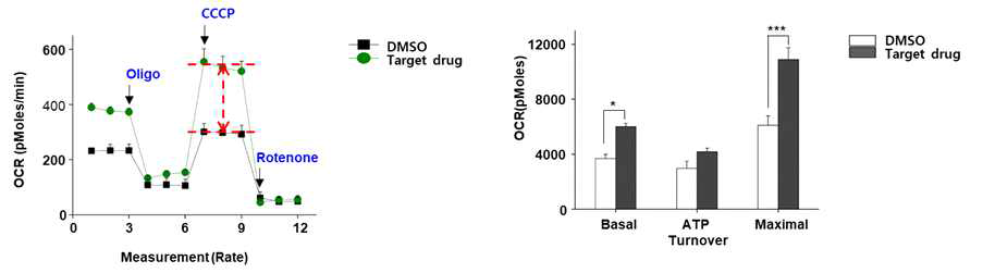 도파민 신경세포에 타겟 약물 처리 후, 미토콘드리아 산소소모율 측정