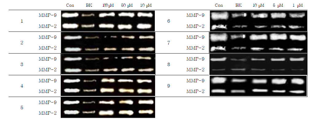 Gelatin zymography를 이용하여 HT-1080세포에서 compounds 1-9의 MMP-2와 MMP-9 발현에 대한 저해효과 측정