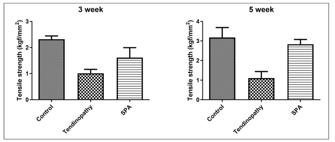 Group별 (n=6) tendon의 인장강도 측정
