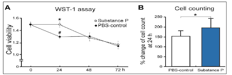 Increased cell viability and proliferation by SP in the cultured tenocytes from healthy tendon. At 24 h, cell viability was significantly higher in the SP group compared to the PBS-control group. However, there were no differences between the groups with and without SP at 48 h (A) The result showed significantly higher percent increase of cell number in the SP-group compared to PBS-control (B)