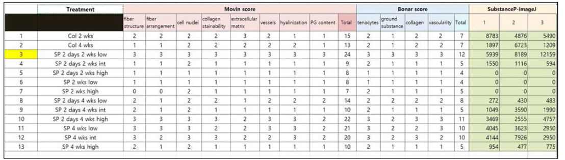 조직 분석 결과를 scoring 한 결과. SP injection low dose every 2 day for 4 weeks 군에서 조직학적 변화가 가장 많이 보였음