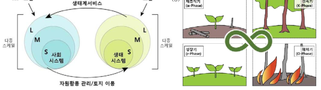 사회생태시스템(a)과 적응주기(b)