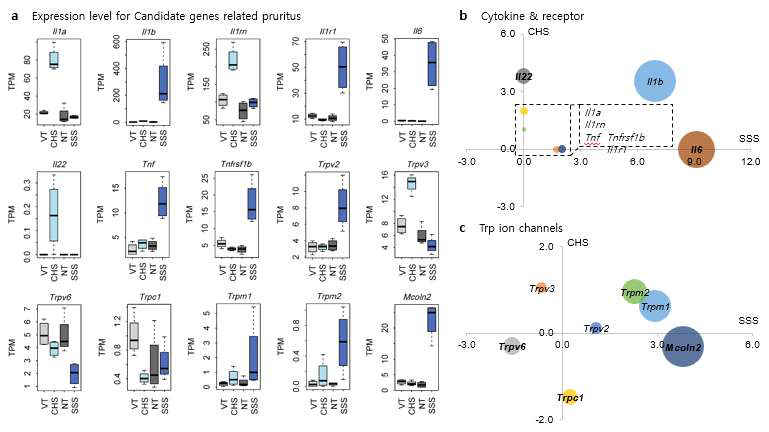 가려움증 후보 유전자의 발현수준(a) 및 CHS와 SSS 사이의 유전자 발현의 관계(b)