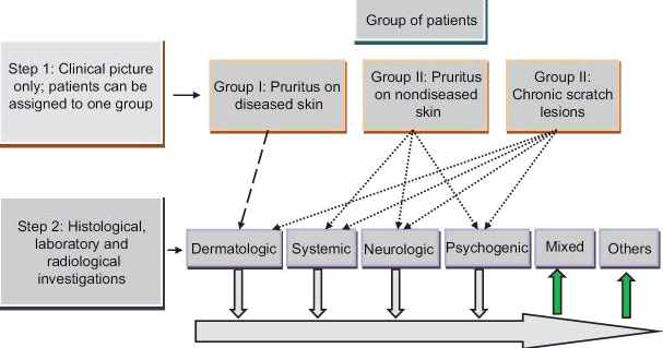 가려움증의 임상 분류 기준(Stander, et al., 2007)