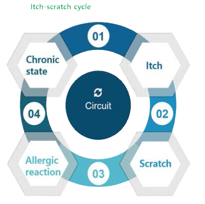 가려움-긁기 순환 고리